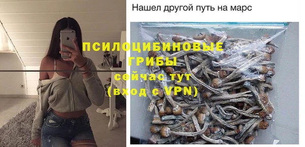 гидропоника Чита