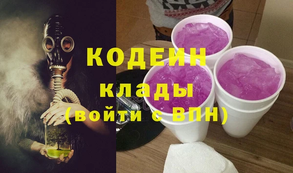 индика Очёр