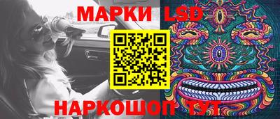 мдпв Гатчина