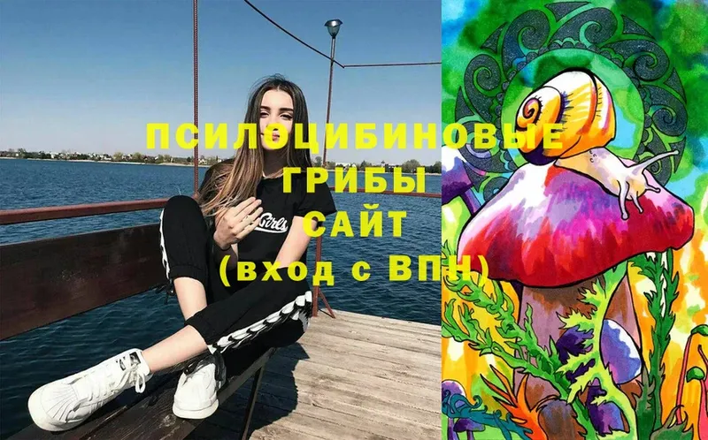 Псилоцибиновые грибы Magic Shrooms  Рыбинск 