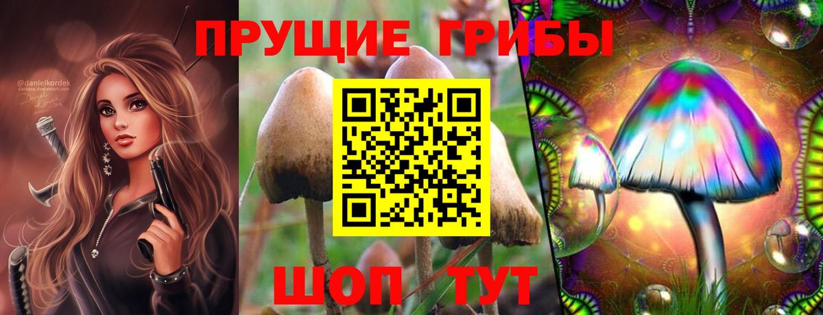 Рыбинск  Галлюциногенные грибы Psilocybine cubensis  Вход с VPN 