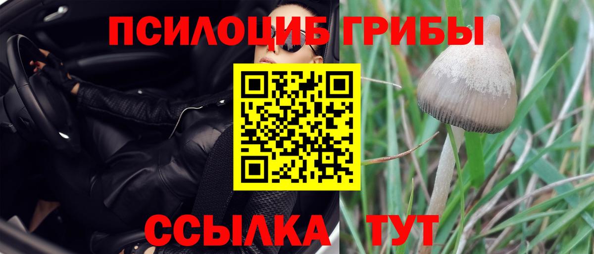 Галлюциногенные грибы ЛСД Рыбинск